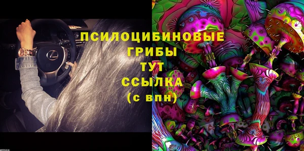 мескалин Гусь-Хрустальный